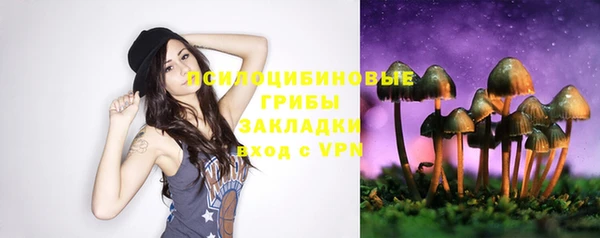 трава Абинск