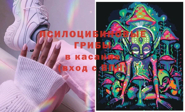 jwh Алзамай