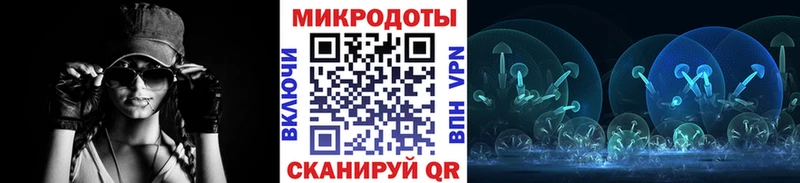 купить цена Новосиль Псилоцибиновые грибы GOLDEN TEACHER